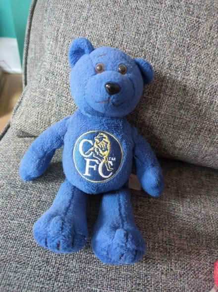 Photo of free Chelsea teddy bear (North Tonbridge, TN10) #1