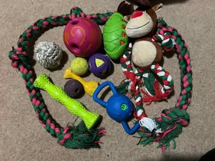 Photo of free Dog toys (OX14) #1