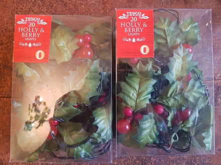 Photo of free Red holly berry lights x 2 (Barming, Maidstone ME16) #2