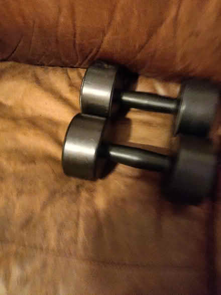 Photo of free Dumbbells weights (SW17) #1