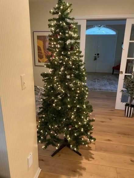 Photo of free Slim Christmas tree, NE A2 Dixboro (NE Ann Arbor near Dixboro) #1