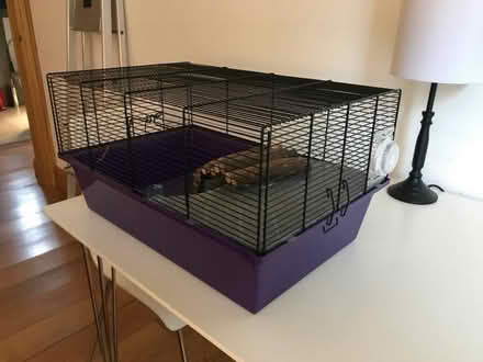 Photo of free Small Rodent Cage (Clerkenwell WC1X) #1