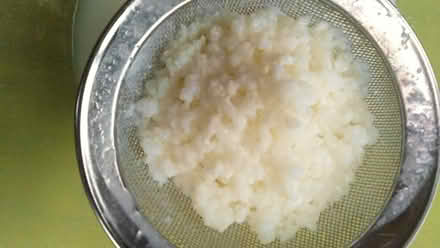 Photo of free Kefir starter (Highams Park) #1