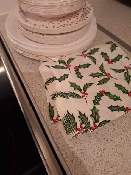 Photo of free Paper plates, bowls, etc (Leckhampton GL53) #1