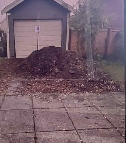 Photo of free wood chips (Ballard) #1