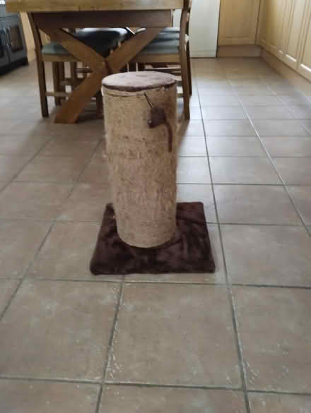 Photo of free Large cat scratching post (Tharston NR15) #1