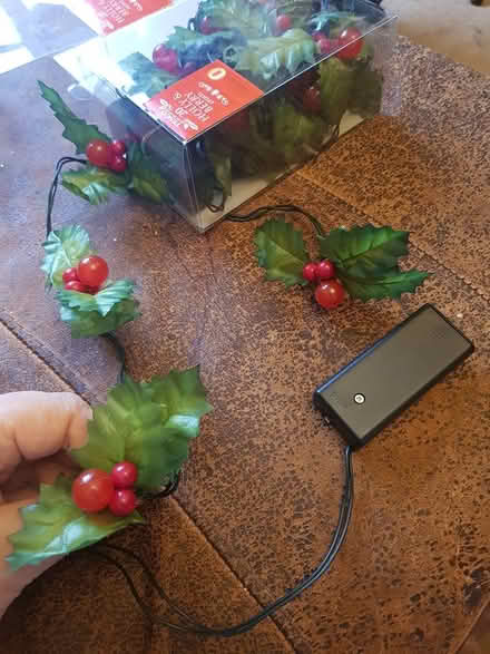 Photo of free Red holly berry lights x 2 (Barming, Maidstone ME16) #1