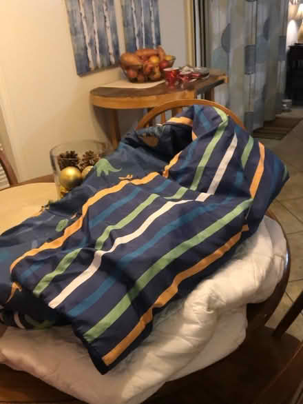 Photo of free Twin Mattress Pad/sleeping bag (Hitchcock) #1