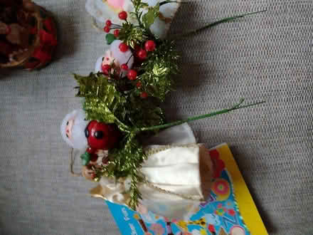 Photo of free Christmas decorations (Melbourn Royston) #1