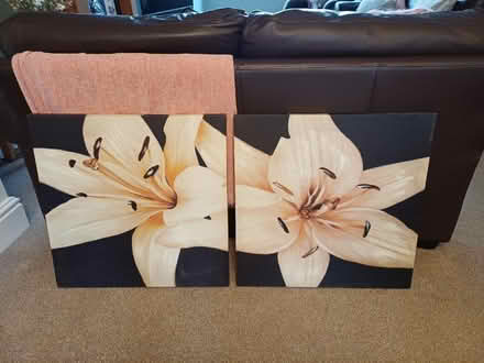 Photo of free Wall canvas pictures (DE5 Codnor) #2