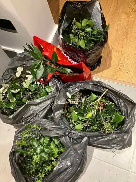 Photo of free Foliage for wreaths/table decorations (New Malden KT3) #1