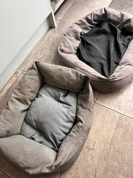 Photo of free 1 and 1/2 dog beds (Victoria Park/Brookfield Rd E9) #2
