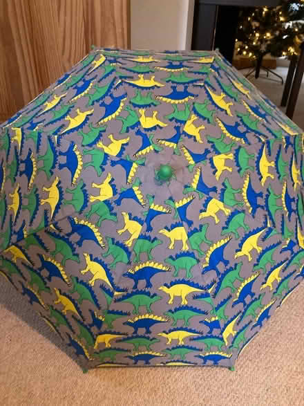Photo of free Child’s umbrella (Didcot, Ladygrove) #1