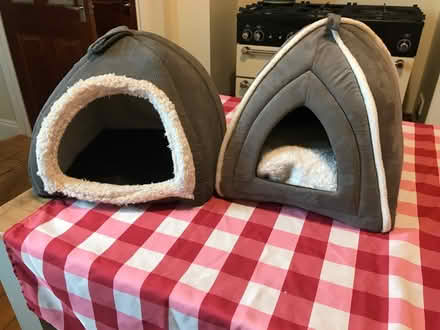 Photo of free Cat igloos (Millfield) #1