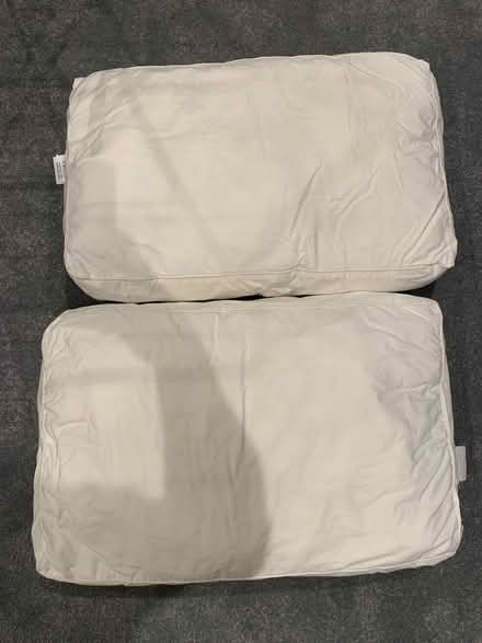 Photo of free Two pillows (Ealing W5) #1
