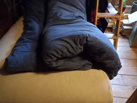 Photo of free Double bed futon (no frame) (Haymarket EH11) #2