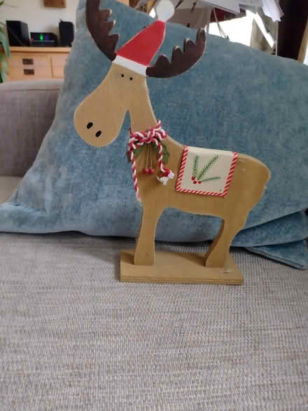 Photo of free Christmas decorations (Melbourn Royston) #4