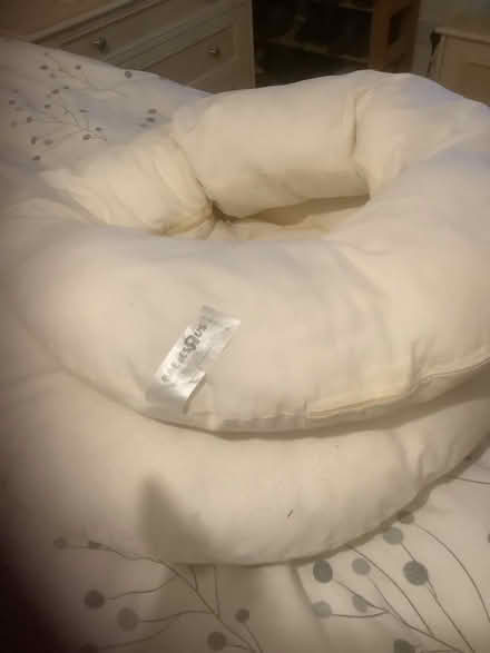 Photo of free Nursing pillow (Swanmore SO3) #1