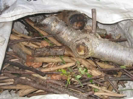 Photo of free Firewood/kindling (IP5) #2