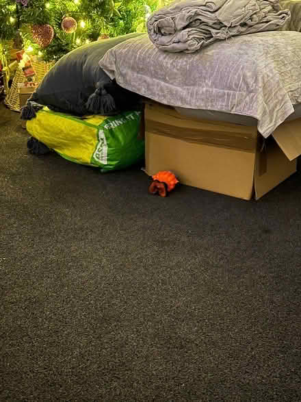 Photo of free Mixed items (Durham) #1
