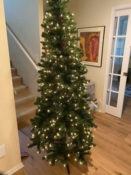 Photo of free Slim Christmas tree, NE A2 Dixboro (NE Ann Arbor near Dixboro) #2