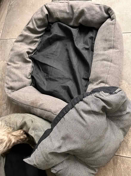 Photo of free 1 and 1/2 dog beds (Victoria Park/Brookfield Rd E9) #1