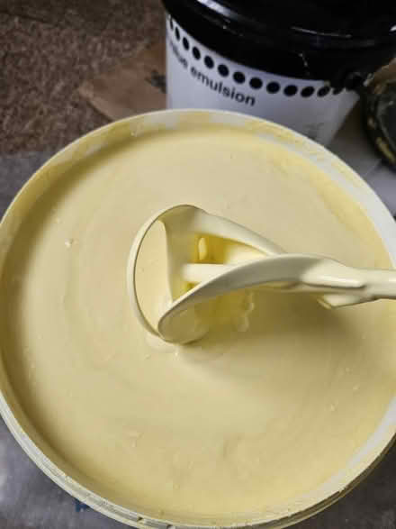 Photo of free Old buttermilk paint 10 litres (ME8, Gillingham) #2