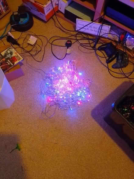 Photo of free Christmas bits (Oulton NR32) #4