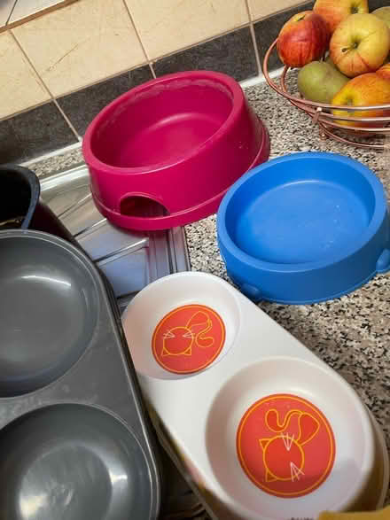 Photo of free Cat bowls (Shrewsbury) #1