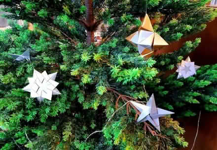 Photo of free Artificial Christmas tree (Woodseats S8) #1