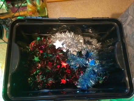 Photo of free Christmas bits (Oulton NR32) #3
