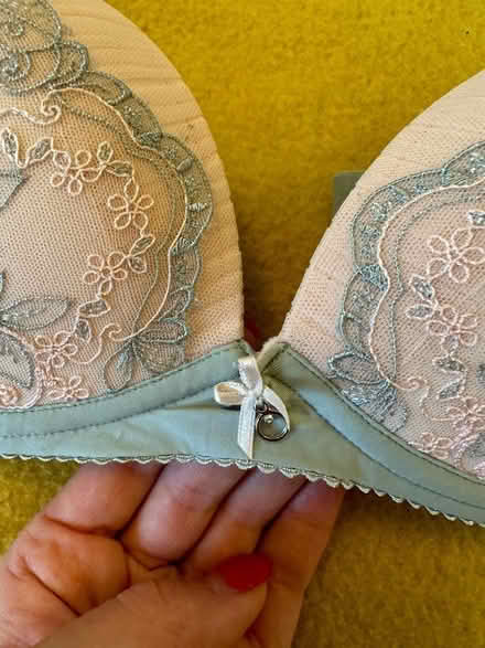 Photo of free Lingerie set (Cutteslowe OX2) #3