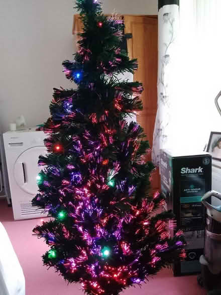 Photo of free Christmas tree. (Gillmoss L11) #1