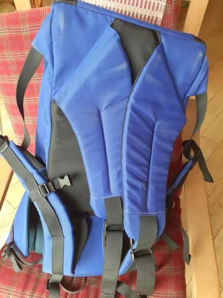 Photo of free CHild carrier (Bowbridge GL5) #3