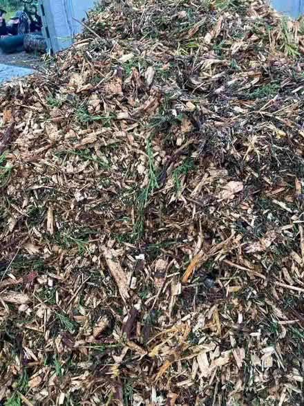 Photo of free Wood chips (Carnoustie DD7) #1