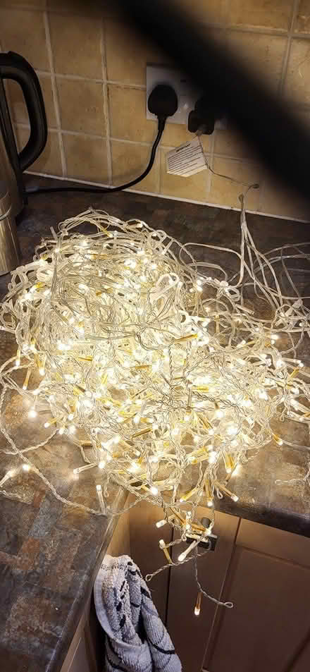 Photo of free Christmas lights outdoor (Dudley) #1