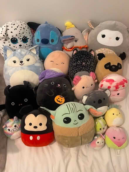Photo of free Squishmallows (Prospect Lefferts Gardens) #1
