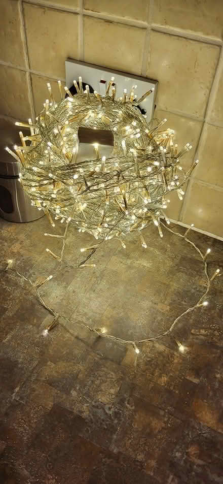 Photo of free Christmas lights outdoor (Dudley) #4