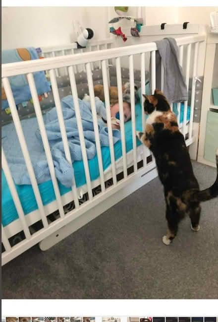 Photo of free Toddler cot bed and changing topper (Ballyfermot) #2