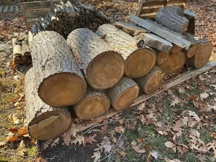 Photo of free firewood (Diane Drive Barkhamsted) #1