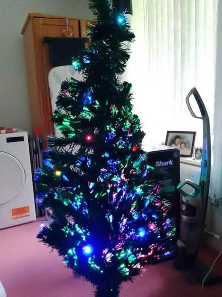 Photo of free Christmas tree. (Gillmoss L11) #2