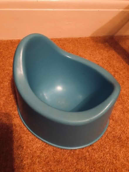 Photo of free Child’s potty (Lexden CO3) #1