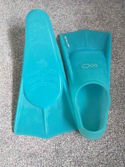 Photo of free Fins for swim training (Heatherside) #1