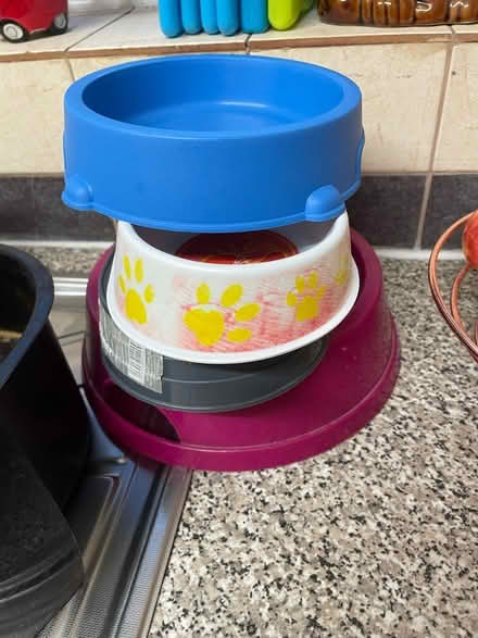 Photo of free Cat bowls (Shrewsbury) #2