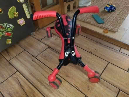 Photo of free Scramblebug / Scuttlebug (Whitchurch-on-Thames RG8) #4