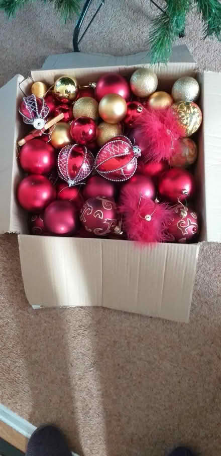 Photo of free Christmas tree (Bramley LS13) #1