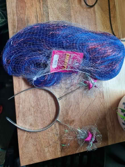 Photo of free Blue wig and deely boppers (SE25 / CR7) #1