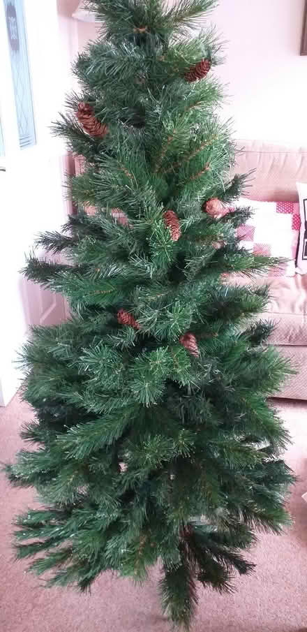 Photo of free Christmas tree (Bramley LS13) #2