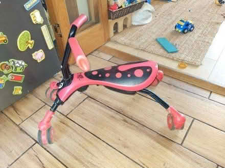 Photo of free Scramblebug / Scuttlebug (Whitchurch-on-Thames RG8) #3