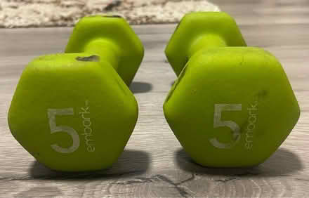 Photo of free Two 5-Pound Weights (Lake Merritt, Oakland) #1